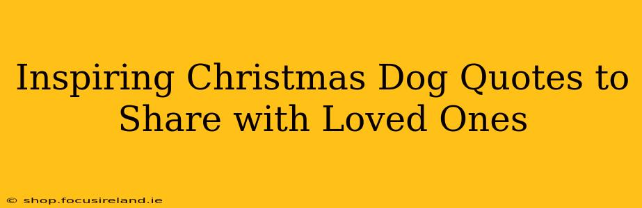 Inspiring Christmas Dog Quotes to Share with Loved Ones