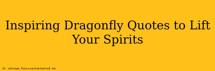Inspiring Dragonfly Quotes to Lift Your Spirits