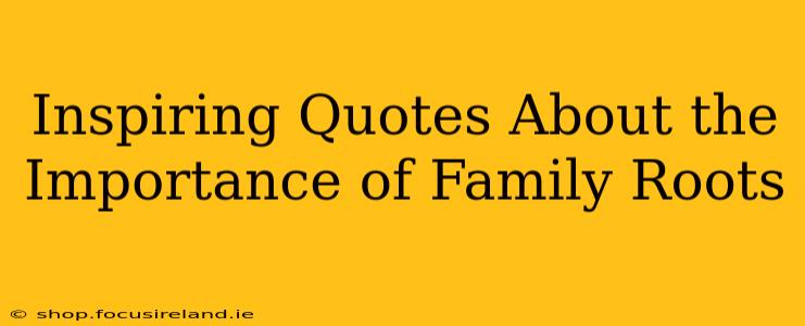 Inspiring Quotes About the Importance of Family Roots