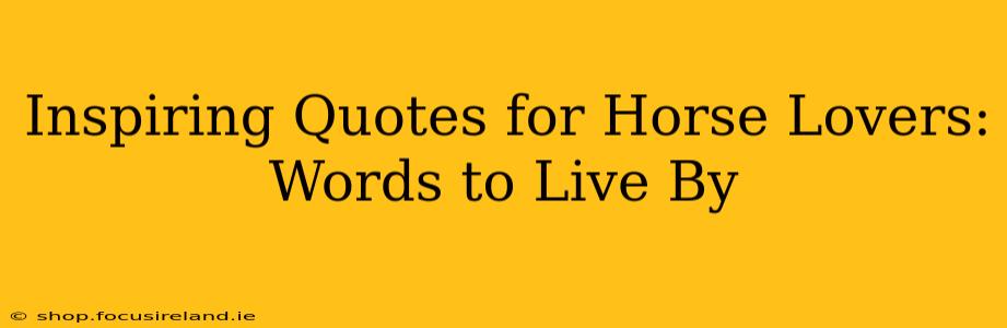 Inspiring Quotes for Horse Lovers: Words to Live By