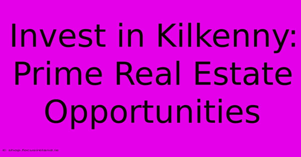 Invest In Kilkenny: Prime Real Estate Opportunities