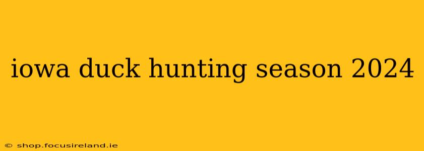 iowa duck hunting season 2024