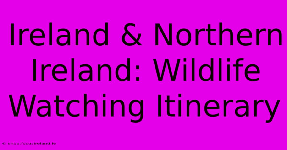 Ireland & Northern Ireland: Wildlife Watching Itinerary