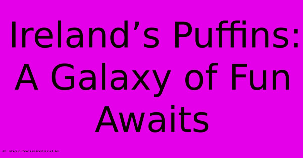 Ireland’s Puffins: A Galaxy Of Fun Awaits