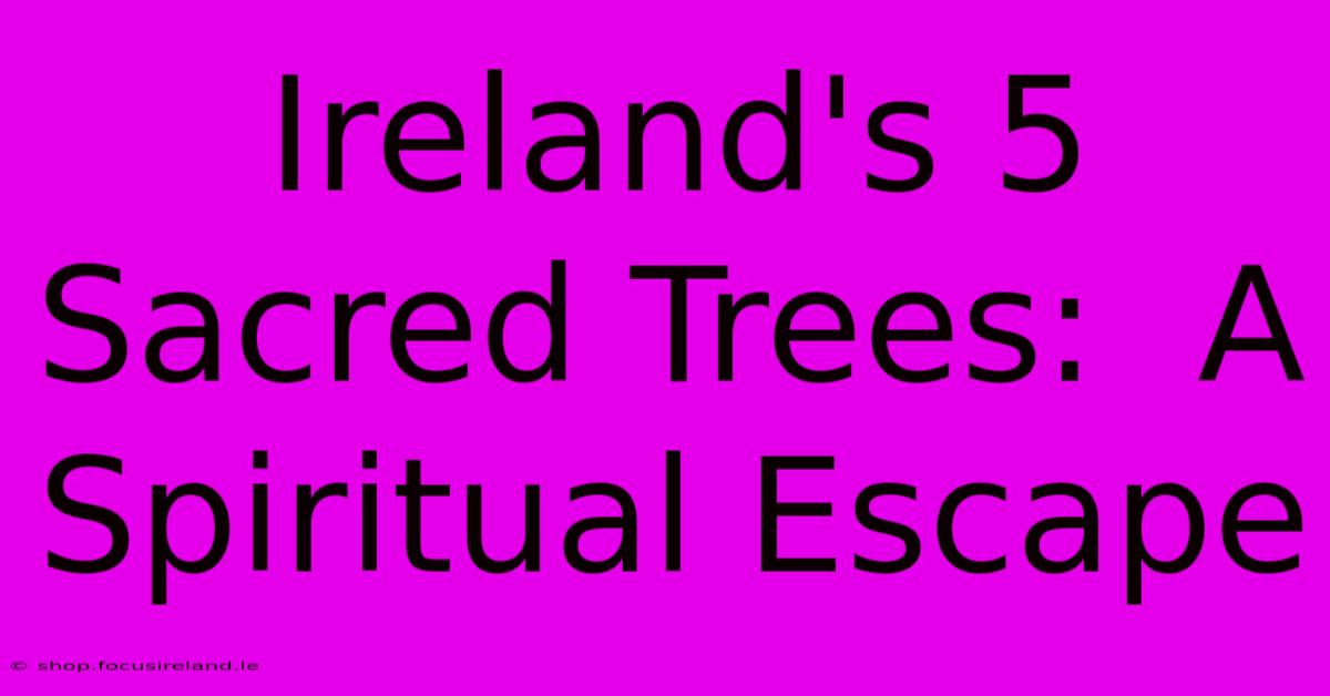 Ireland's 5 Sacred Trees:  A Spiritual Escape