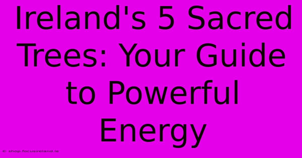 Ireland's 5 Sacred Trees: Your Guide To Powerful Energy