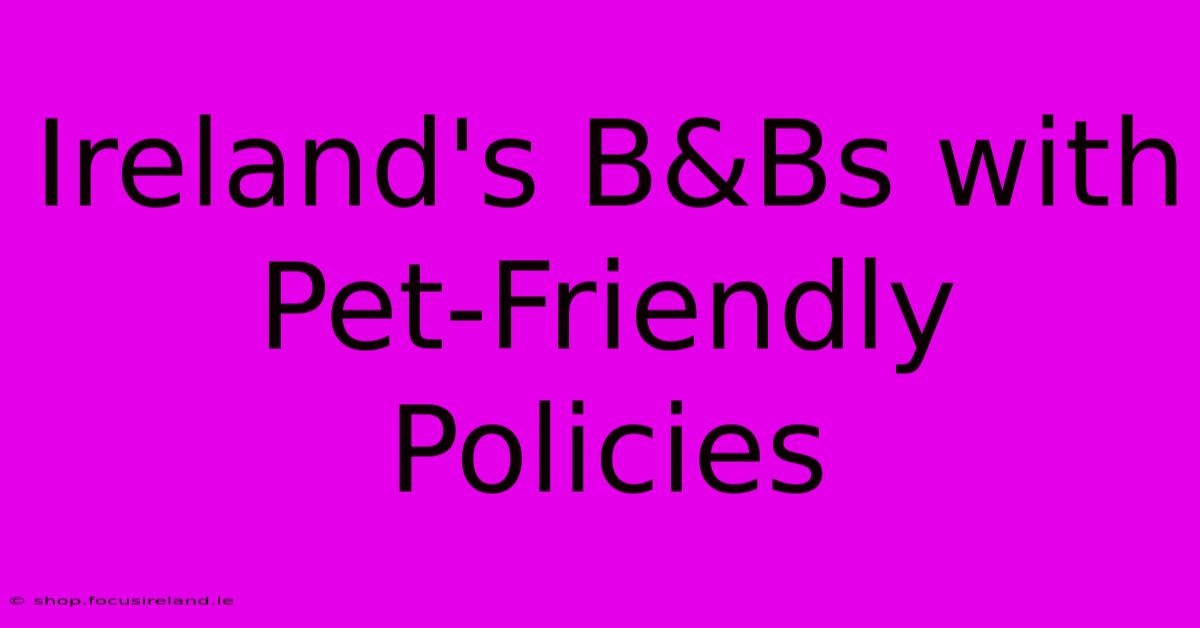 Ireland's B&Bs With Pet-Friendly Policies