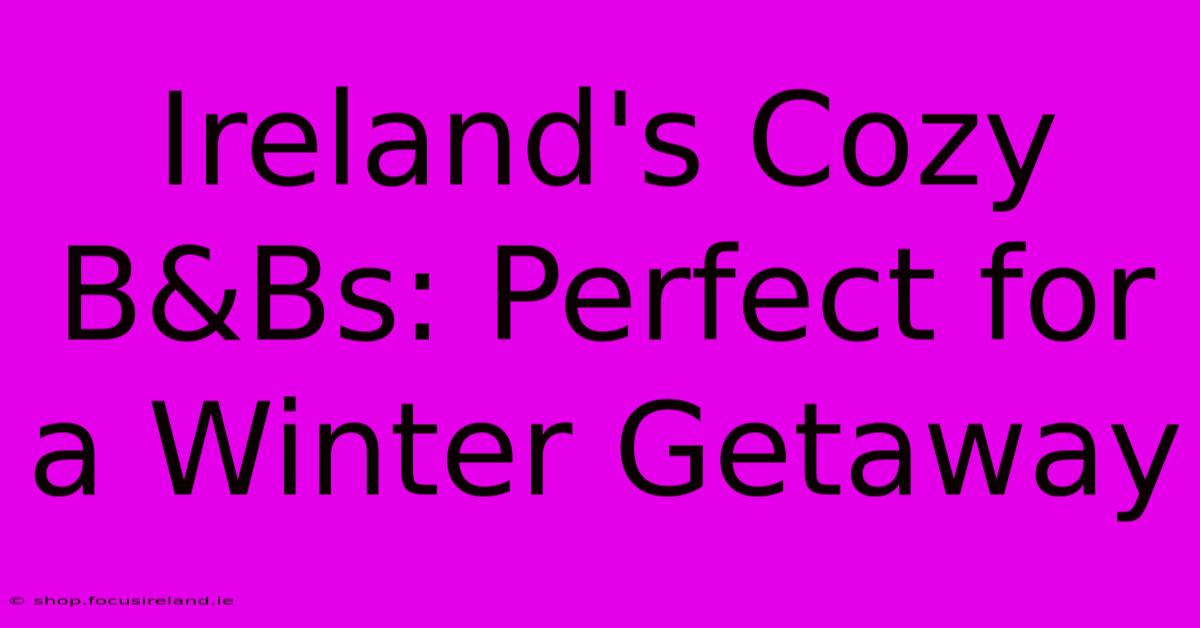 Ireland's Cozy B&Bs: Perfect For A Winter Getaway