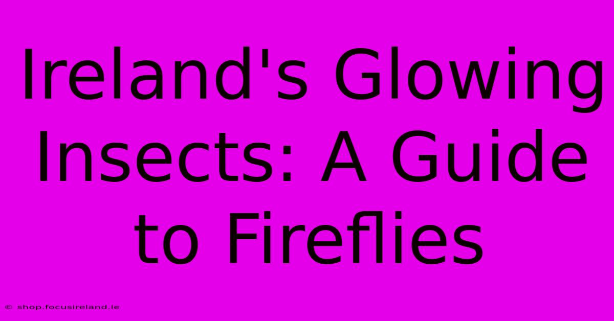 Ireland's Glowing Insects: A Guide To Fireflies