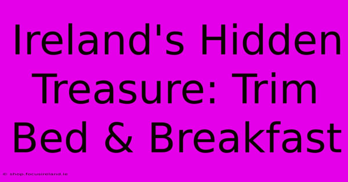 Ireland's Hidden Treasure: Trim Bed & Breakfast