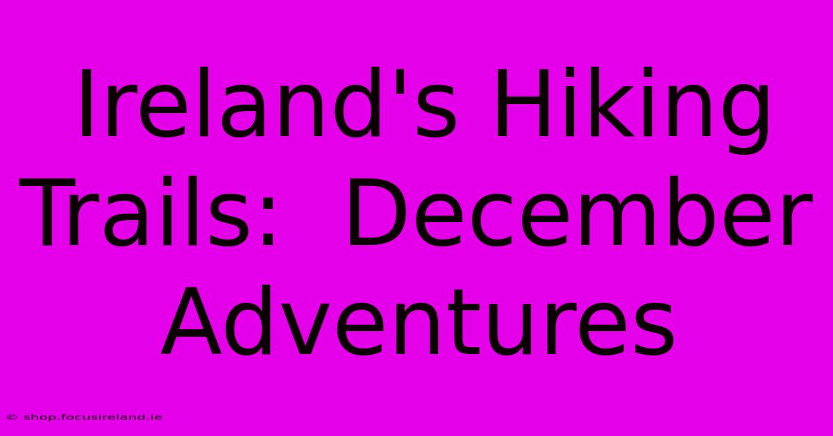 Ireland's Hiking Trails:  December Adventures