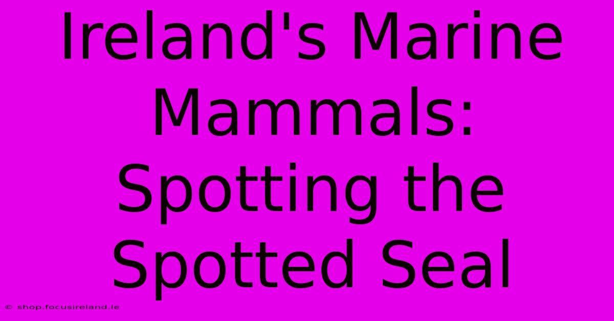 Ireland's Marine Mammals: Spotting The Spotted Seal