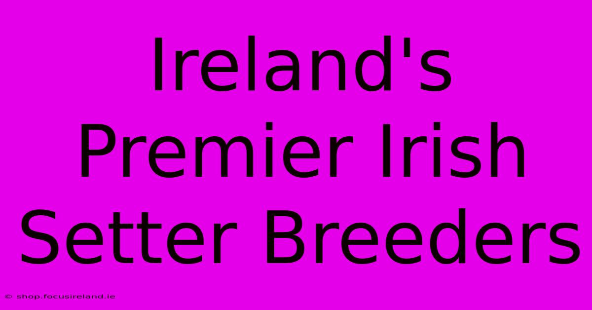 Ireland's Premier Irish Setter Breeders