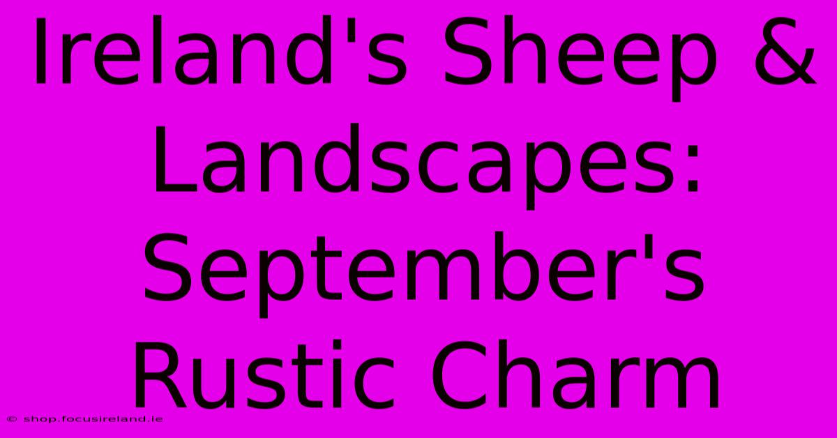 Ireland's Sheep & Landscapes: September's Rustic Charm