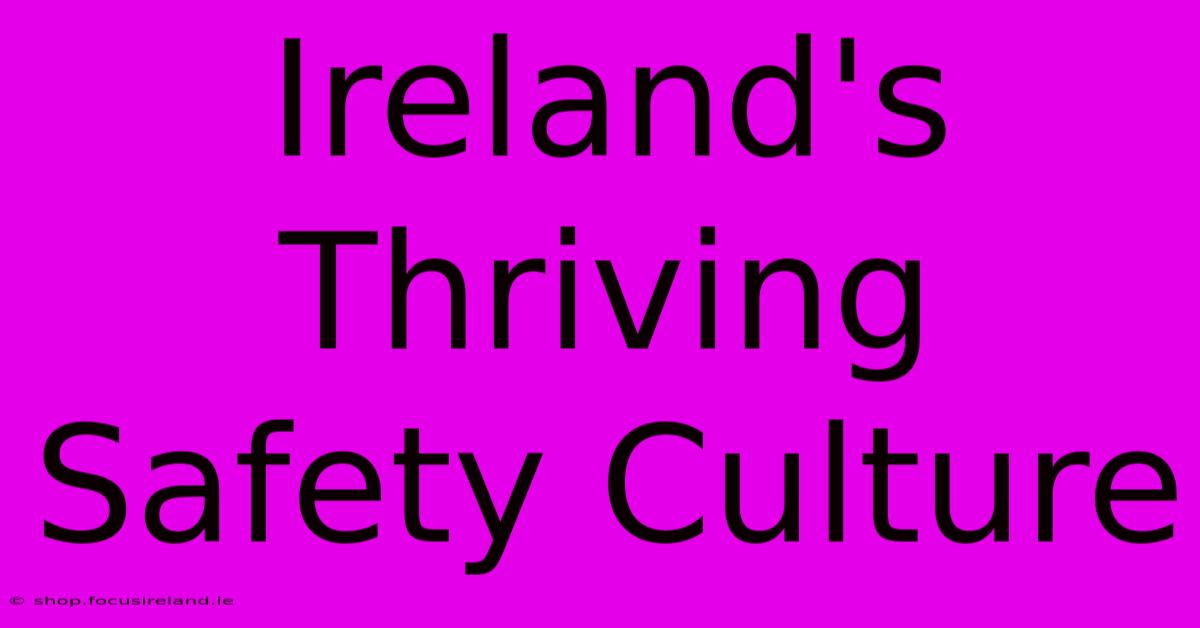 Ireland's Thriving Safety Culture