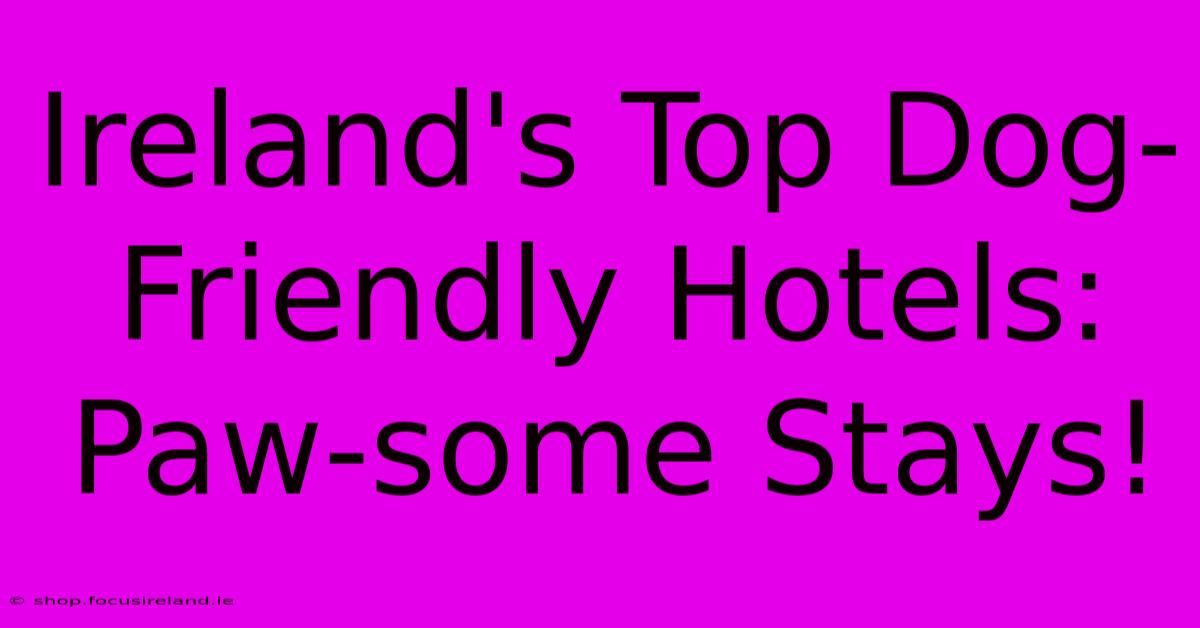 Ireland's Top Dog-Friendly Hotels: Paw-some Stays!