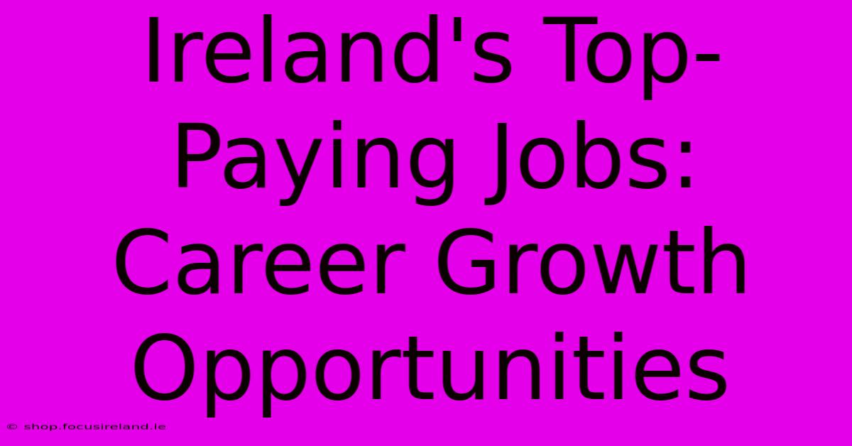 Ireland's Top-Paying Jobs:  Career Growth Opportunities