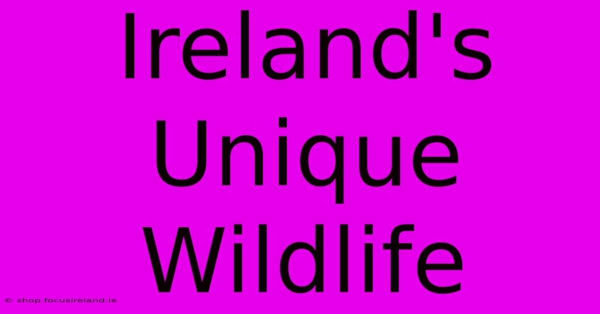 Ireland's Unique Wildlife