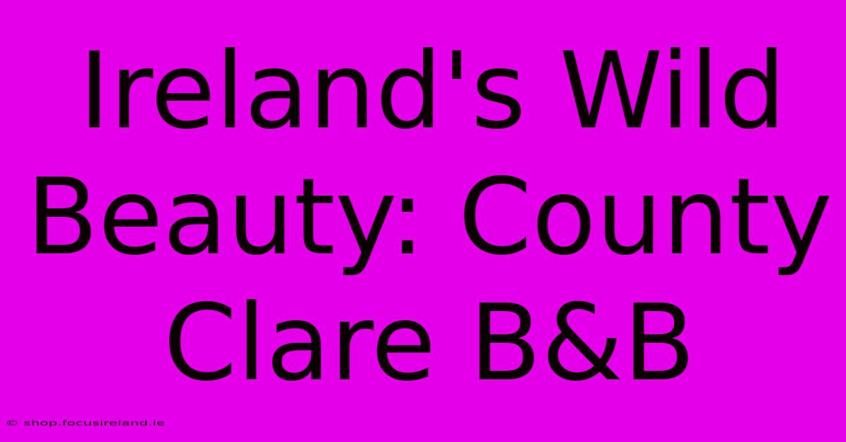 Ireland's Wild Beauty: County Clare B&B