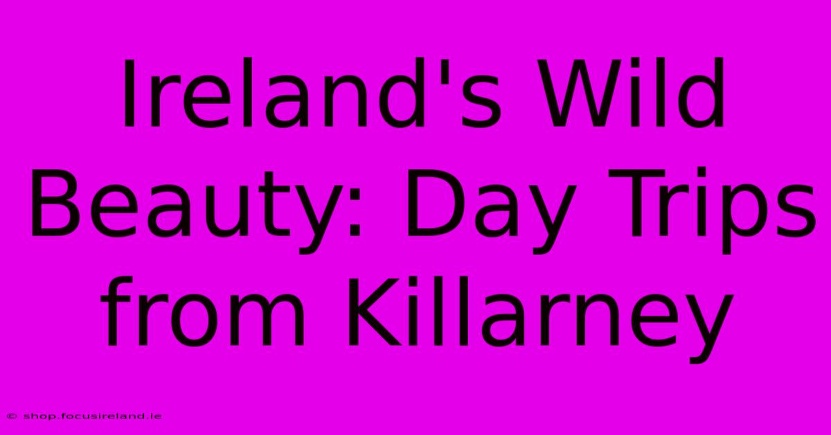 Ireland's Wild Beauty: Day Trips From Killarney