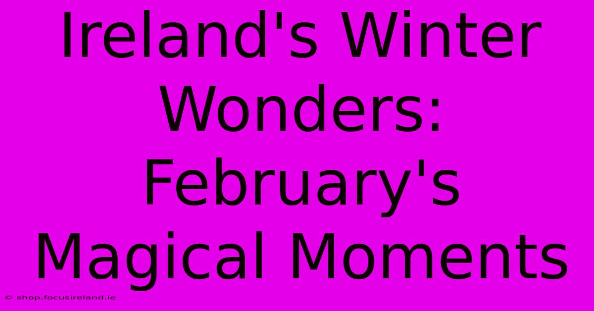 Ireland's Winter Wonders: February's Magical Moments