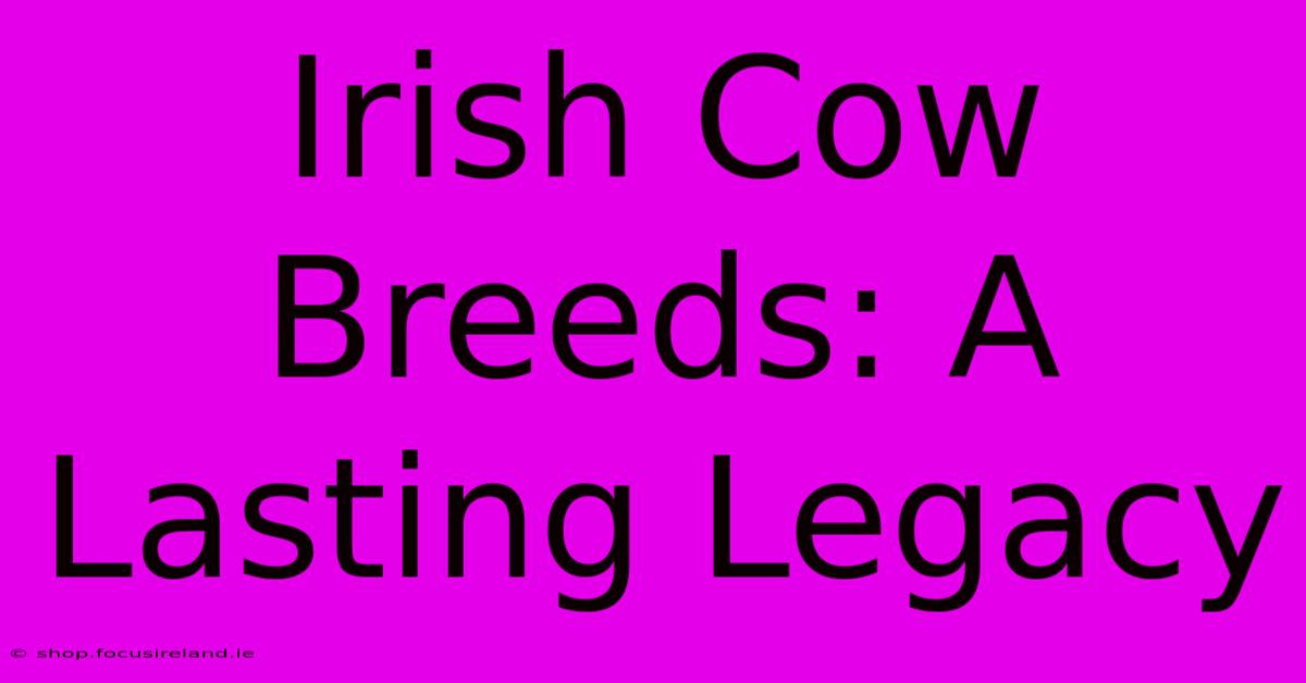 Irish Cow Breeds: A Lasting Legacy