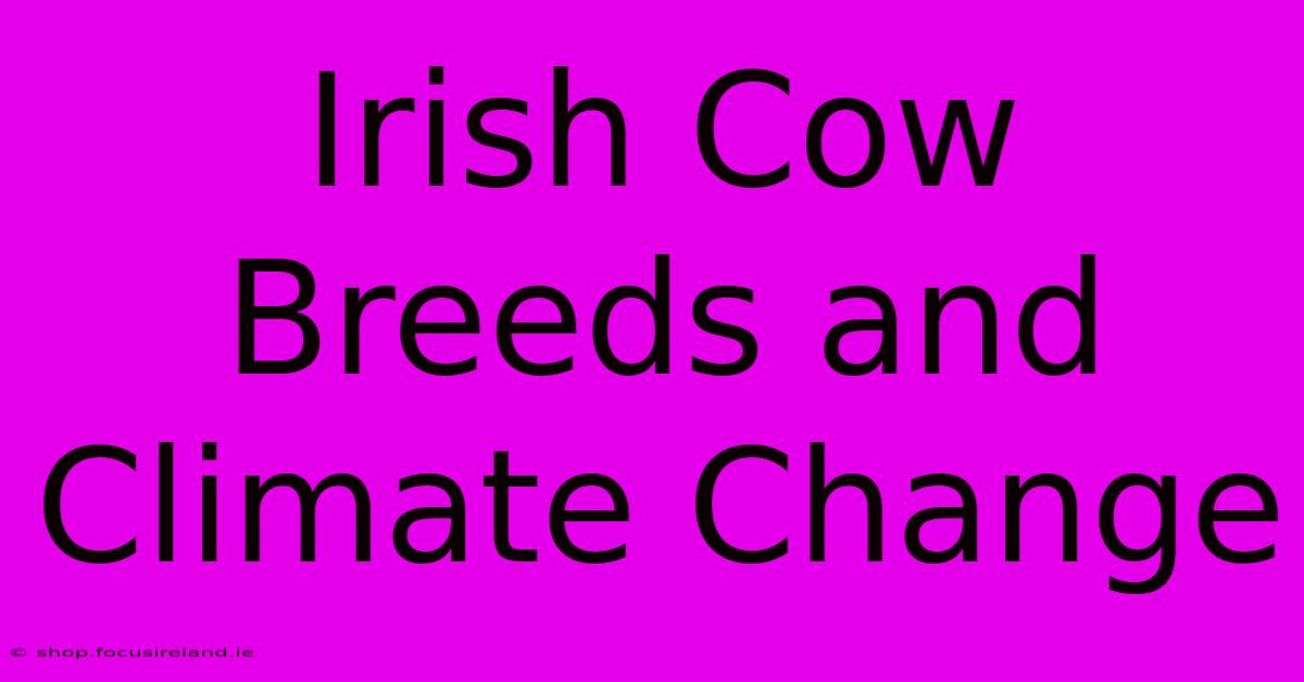 Irish Cow Breeds And Climate Change