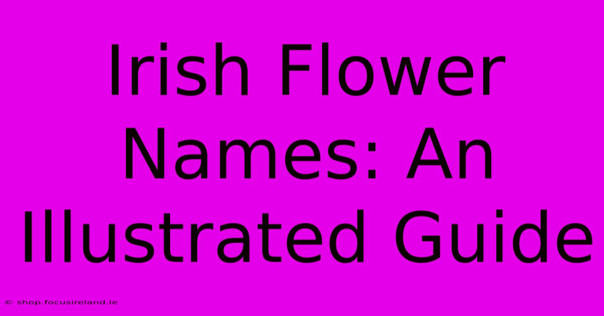 Irish Flower Names: An Illustrated Guide