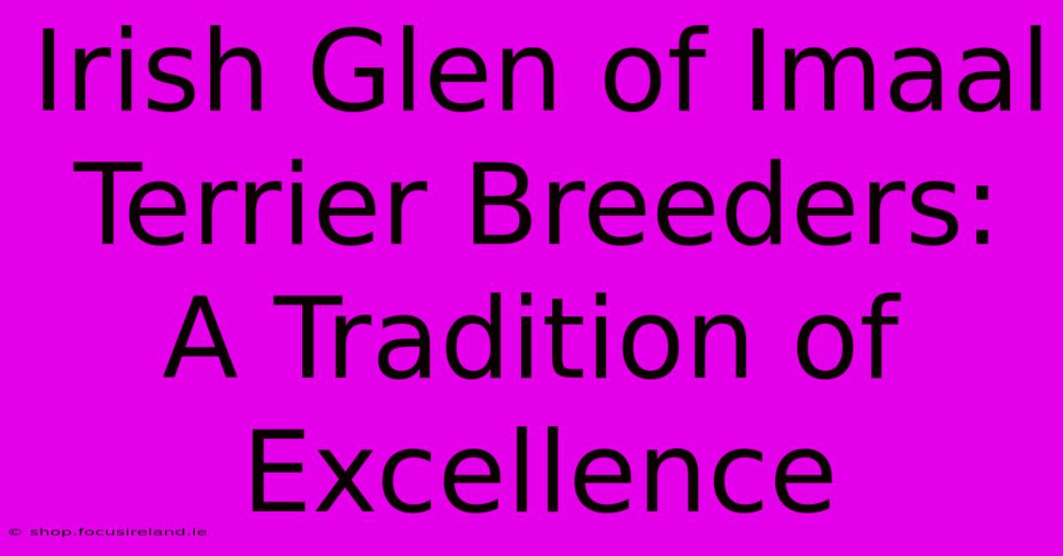 Irish Glen Of Imaal Terrier Breeders: A Tradition Of Excellence