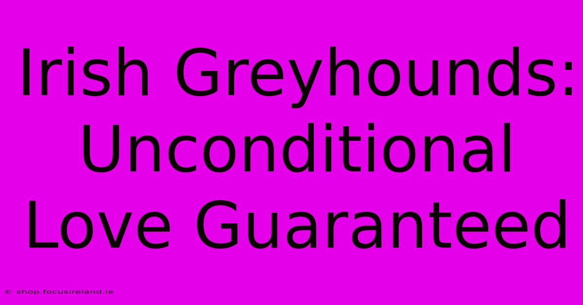 Irish Greyhounds: Unconditional Love Guaranteed