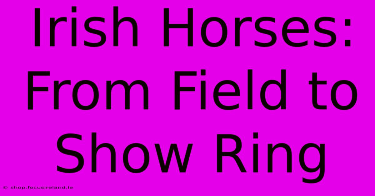 Irish Horses: From Field To Show Ring