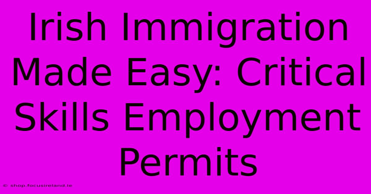 Irish Immigration Made Easy: Critical Skills Employment Permits