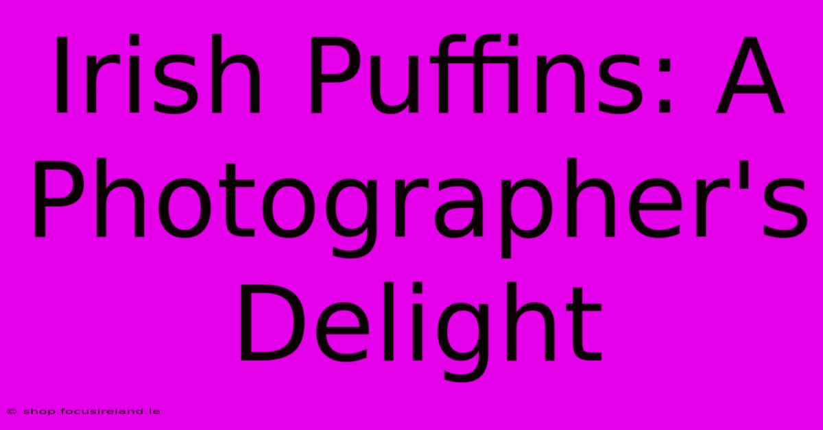 Irish Puffins: A Photographer's Delight