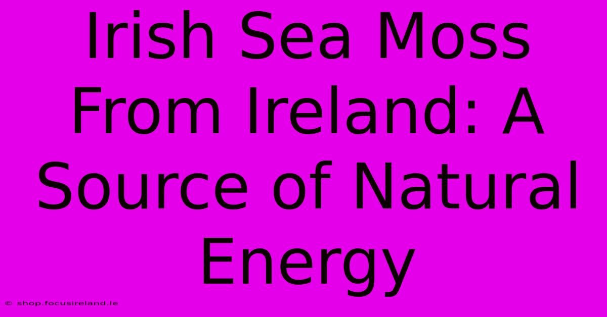 Irish Sea Moss From Ireland: A Source Of Natural Energy