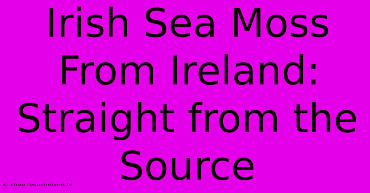 Irish Sea Moss From Ireland: Straight From The Source