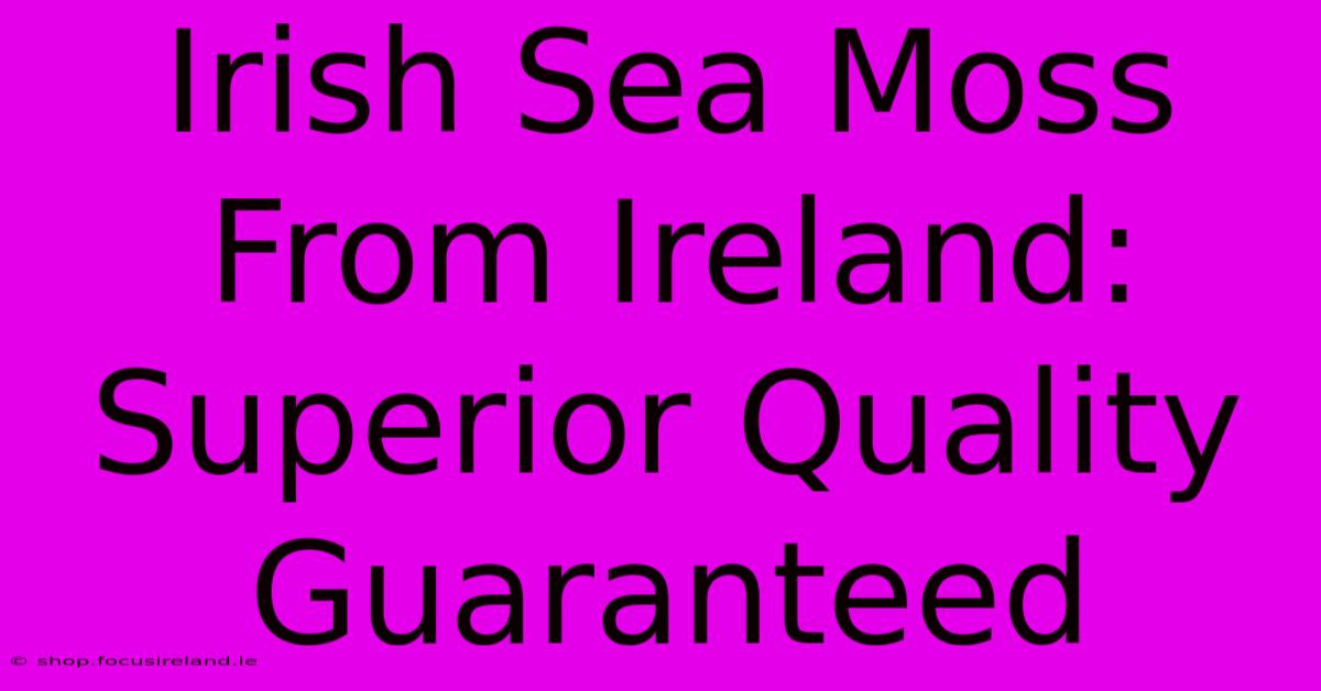 Irish Sea Moss From Ireland: Superior Quality Guaranteed