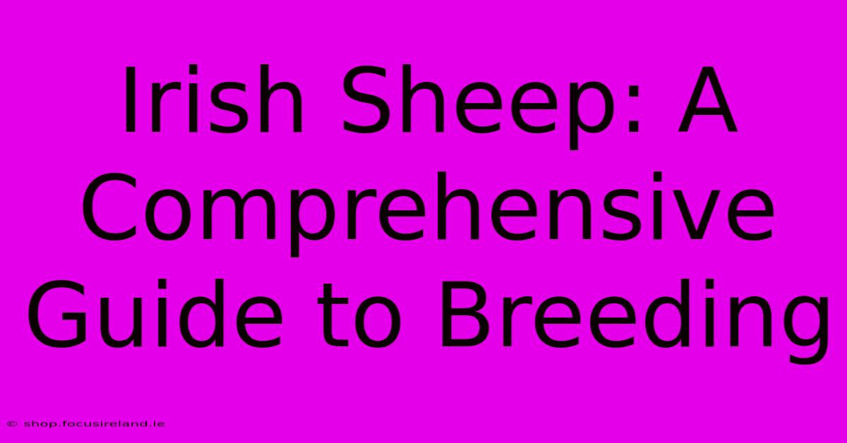 Irish Sheep: A Comprehensive Guide To Breeding