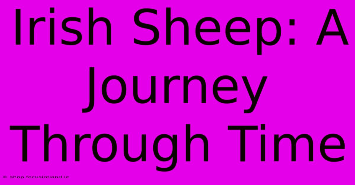 Irish Sheep: A Journey Through Time