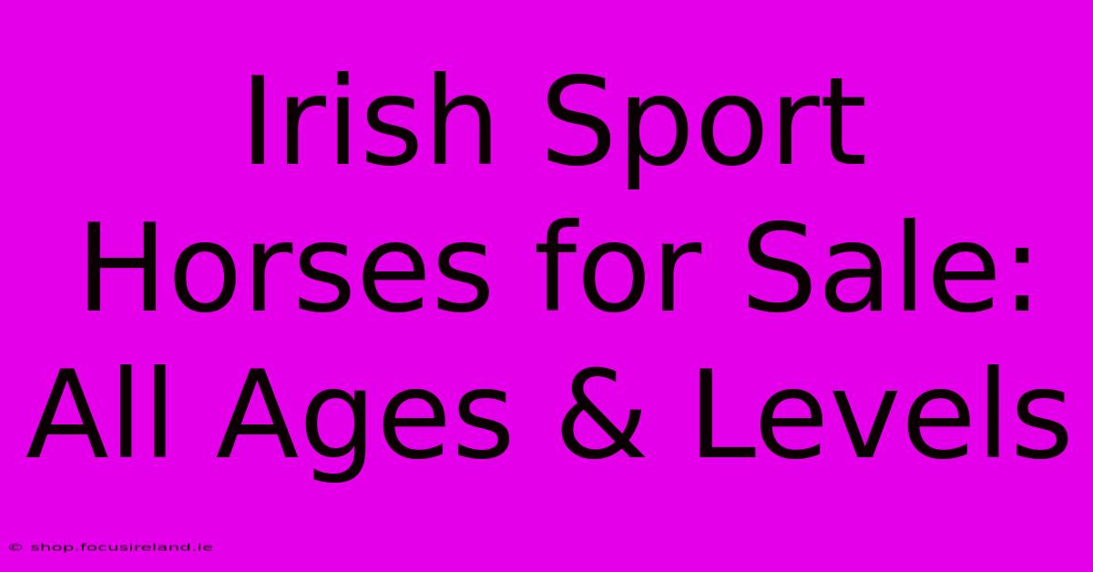 Irish Sport Horses For Sale: All Ages & Levels