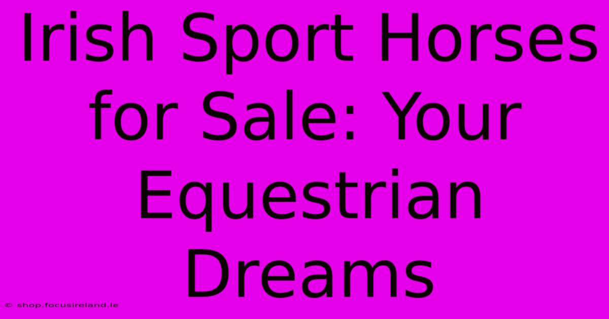 Irish Sport Horses For Sale: Your Equestrian Dreams