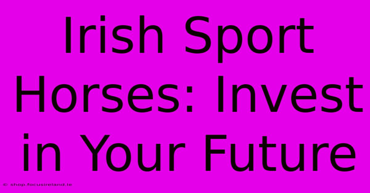 Irish Sport Horses: Invest In Your Future