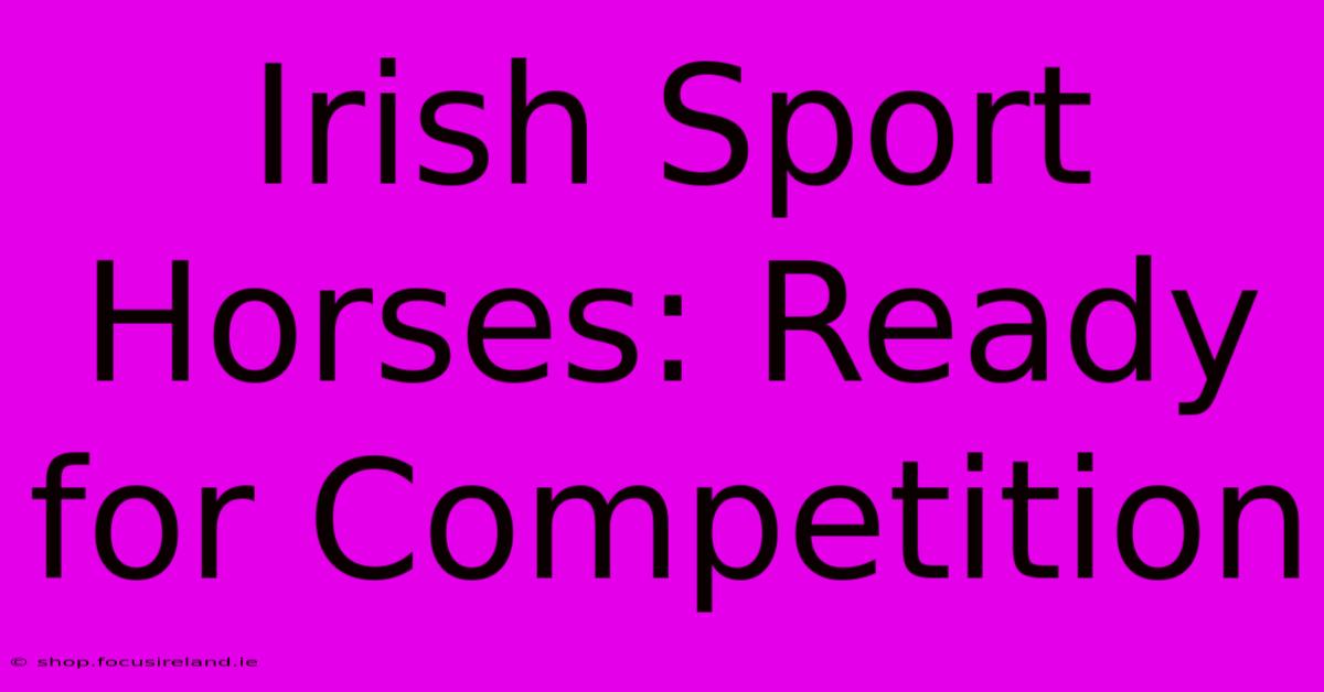 Irish Sport Horses: Ready For Competition