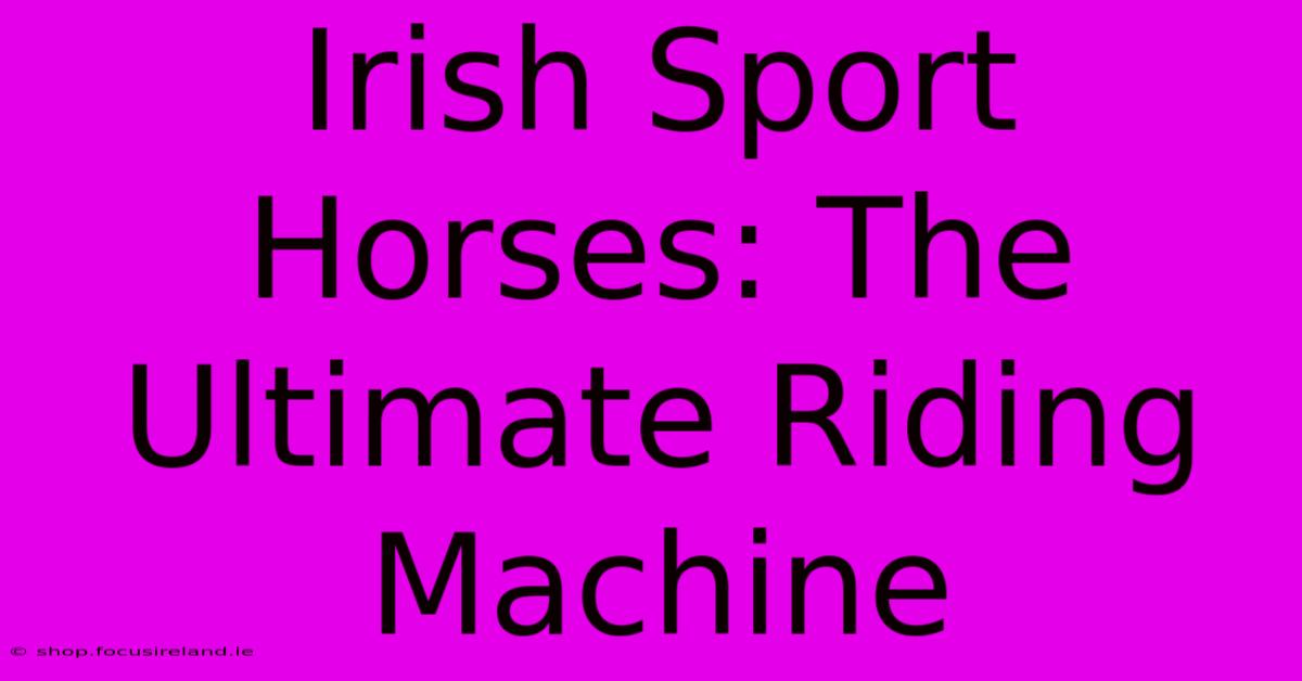 Irish Sport Horses: The Ultimate Riding Machine