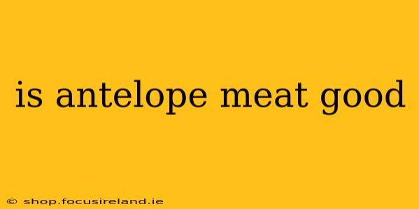 is antelope meat good