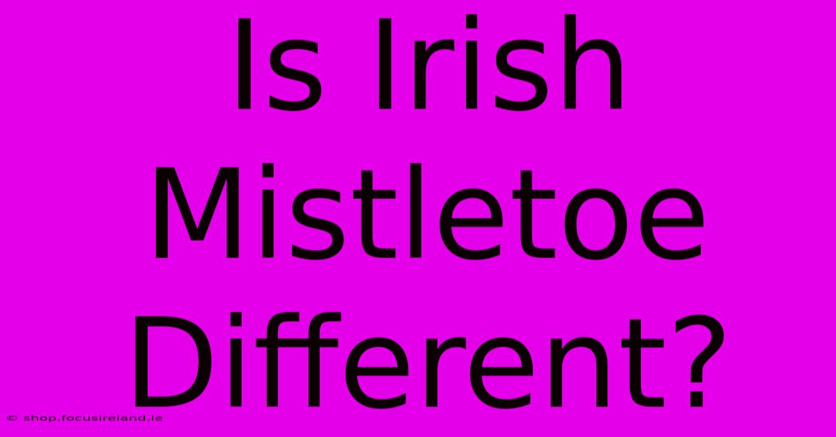 Is Irish Mistletoe Different?