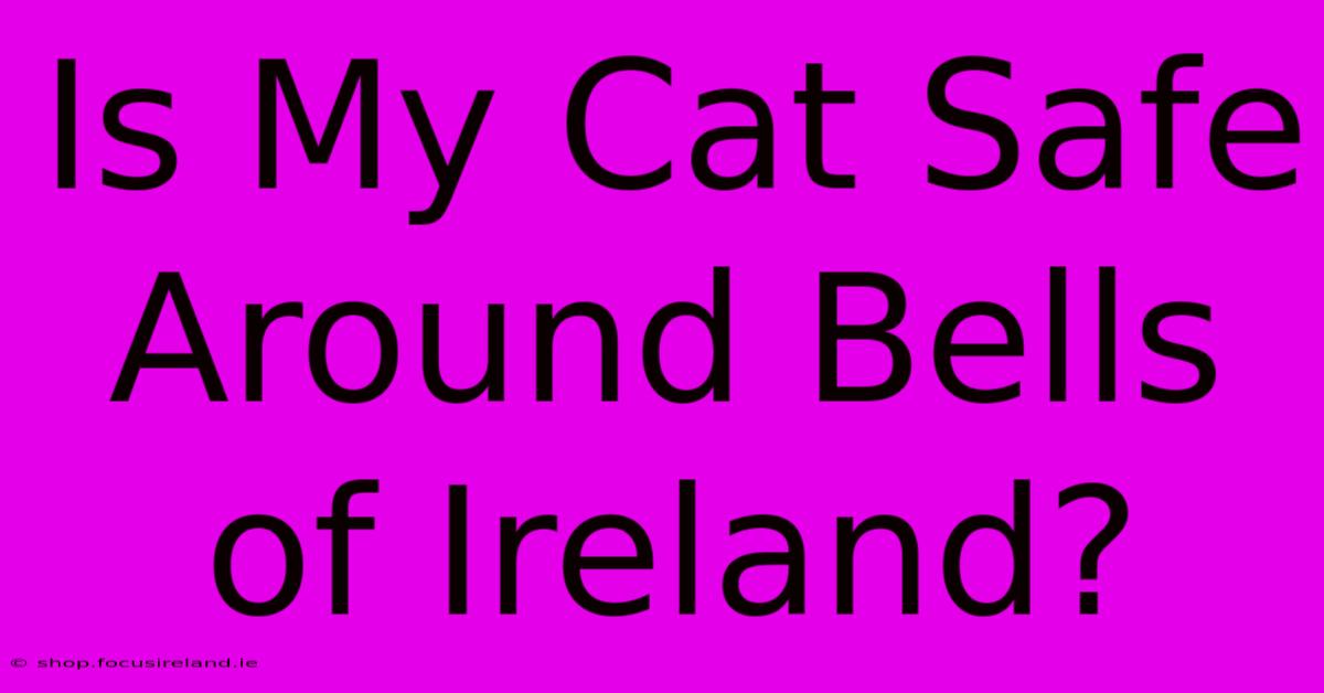 Is My Cat Safe Around Bells Of Ireland?