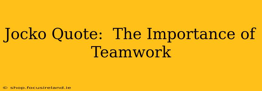 Jocko Quote:  The Importance of Teamwork