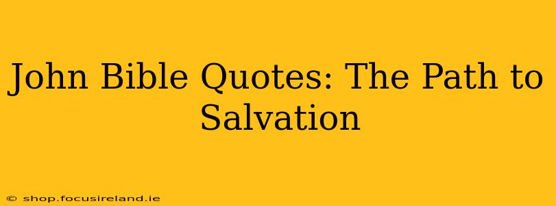 John Bible Quotes: The Path to Salvation