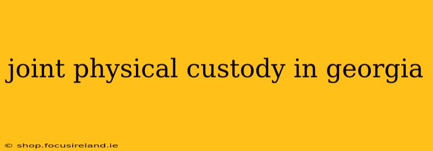 joint physical custody in georgia