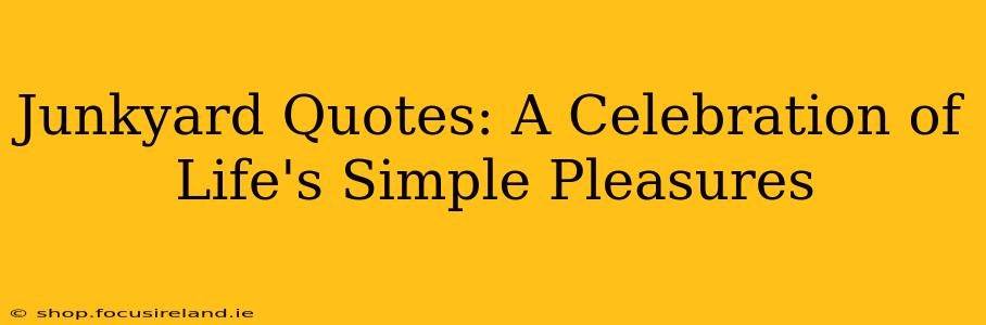 Junkyard Quotes: A Celebration of Life's Simple Pleasures